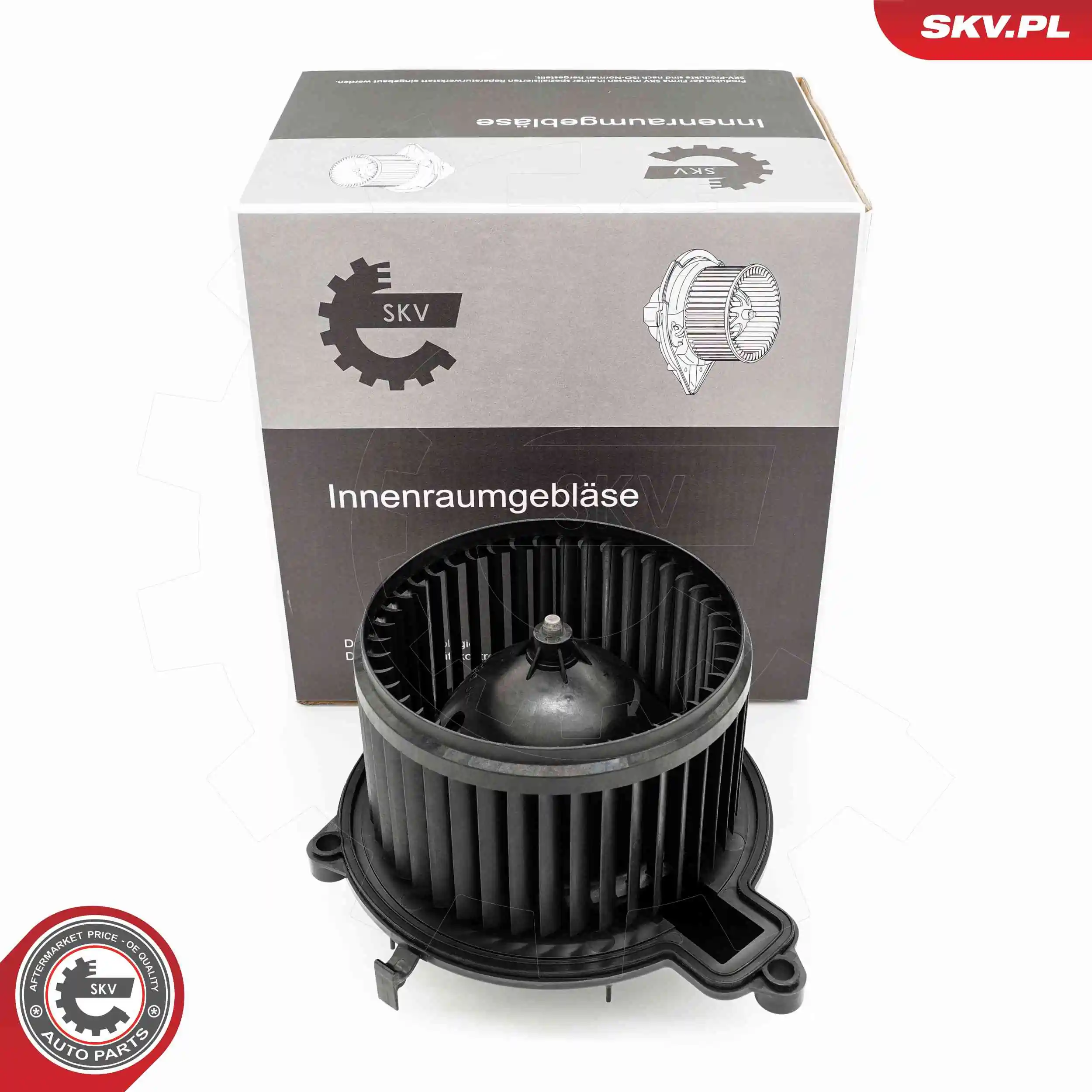 Interior Blower